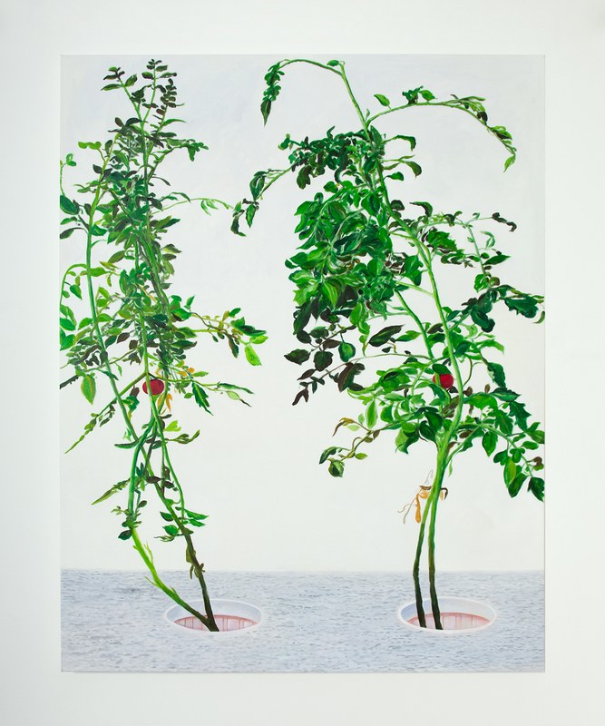 Alex Fischer, Vii 冯声贵 Feng Shui Gui, 2015-02-26